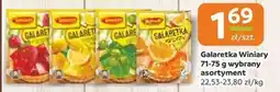 Społem Galaretka Winiary oferta