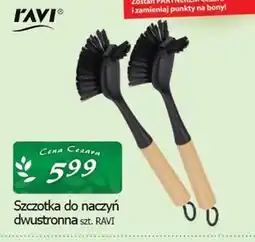 Cezar Delikatesy Szczotka do naczyń RAVI oferta