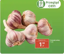 Biedronka Czosnek młody 1 szt. Biedronka oferta