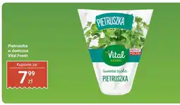 Biedronka Pietruszka XL Vital Fresh oferta