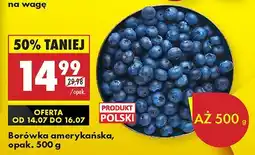 Biedronka Borówka amerykańska Biedronka oferta