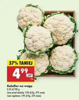 Biedronka Kalafior Biedronka oferta
