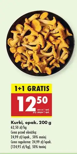 Biedronka Kurki Biedronka oferta