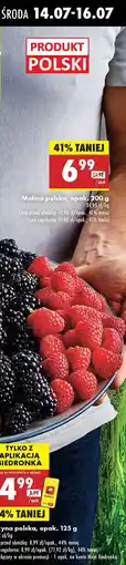 Biedronka Jeżyna polska Biedronka oferta