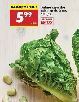 Biedronka Sałata rzymska mini Biedronka oferta