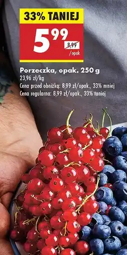 Biedronka Borówka amerykańska Biedronka oferta