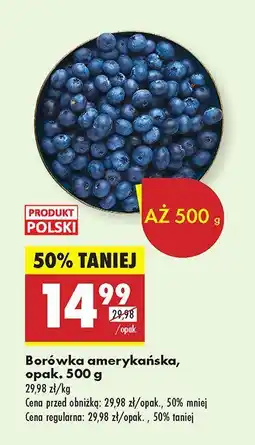 Biedronka Borówka amerykańska Biedronka oferta