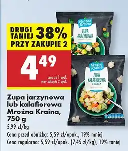 Biedronka Zupa jarzynowa lub kalafiorowa Mroźna Kraina oferta