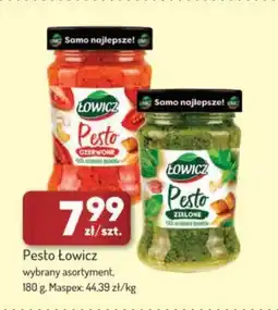 Avita Pesto Łowicz Maspex oferta