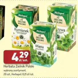 Avita Herbata Zielnik Polski Herbapol oferta