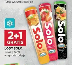 Stokrotka Optima Lody solo koral oferta