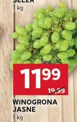 Stokrotka Optima Winogrona jasne oferta
