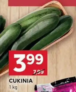 Stokrotka Optima Cukinia oferta