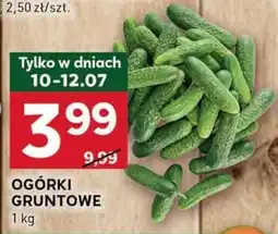 Stokrotka Optima Ogórki gruntowe oferta