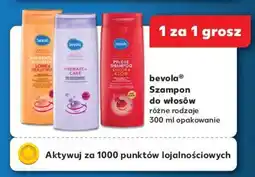 Kaufland Bevola Szampon do włosów oferta