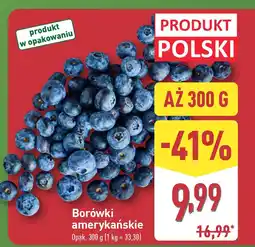 ALDI Borówki amerykańskie Aldi oferta