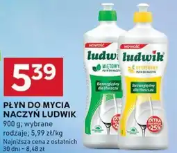 Stokrotka Optima Płyn do mycia naczyń ludwik oferta