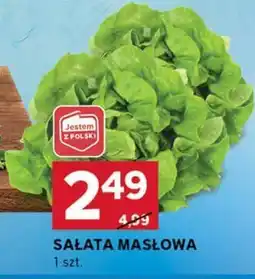 Stokrotka Optima Sałata masłowa oferta