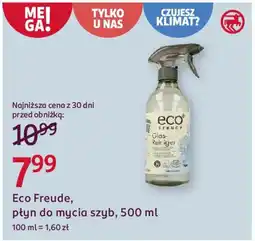 Rossmann Eco Freude, płyn do mycia szyb oferta