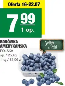 Spar Borówka amerykańska SPAR oferta