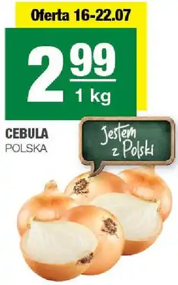 Spar Cebula SPAR oferta