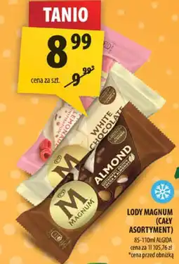 Arhelan Lody Magnum (cały asortyment) oferta