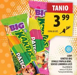 Arhelan Lody Big Jungle kaktus, papaja kiwi, sensei limonka (cały asortyment) oferta