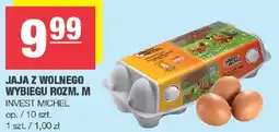 Spar Jaja z wolnego wybiegu rozmiar M Invest Michel oferta