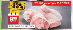 Bingo Podudzie z kurczaka oferta
