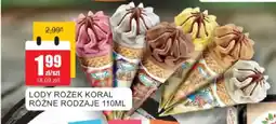 Bingo Lody rožek koral oferta