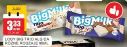 Bingo Lody big trio algida oferta