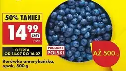 Biedronka Borówki amerykańskie polska oferta