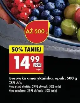 Biedronka Borówka amerykańska oferta