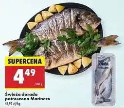 Biedronka Dorada patroszona świeża Marinero oferta