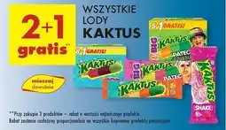 Biedronka Lody shake malina Nestle Kaktus oferta