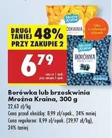 Biedronka Brzoskwinia Mroźna Kraina oferta
