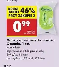 Biedronka Gąbka do masażu Oceania oferta