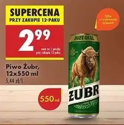 Biedronka Piwo Żubr 1768 oferta