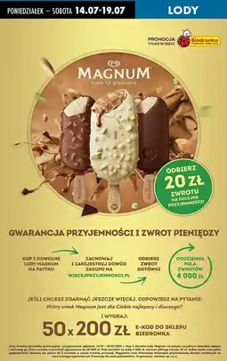 Biedronka Lód classic Algida Magnum oferta