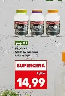 Kaufland Słoik do ogórków 4 l Florina (Florentyna) oferta