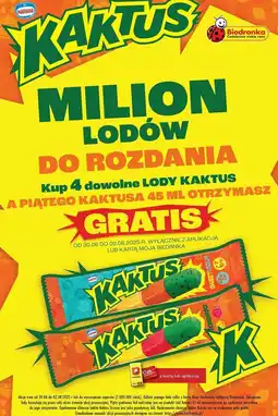 Biedronka Lody sweet & sour Nestle Kaktus oferta