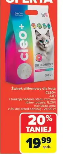 Carrefour Market Zwirek silikonowy dla kota Cleo+ oferta