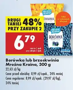 Biedronka Borówka Mroźna Kraina oferta