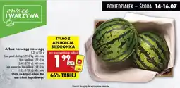 Biedronka Arbuz na wagę Biedronka oferta