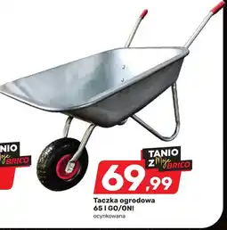 Bricomarche Taczka ogrodowa GO/ON! oferta