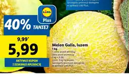 Lidl Melon Plus-Plus oferta
