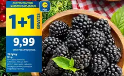 Lidl Jeżyny Plus-Plus oferta