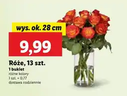 Lidl Bukiet róż Ok oferta