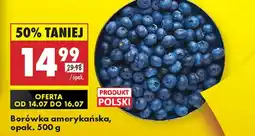 Biedronka Borówka amerykańska Polski oferta
