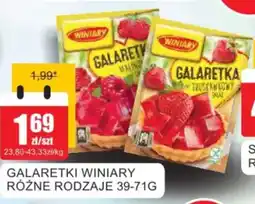 Bingo Galaretki winiary oferta
